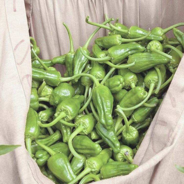 Venta online pimientos padron